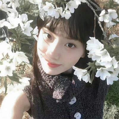 小鱼历险记