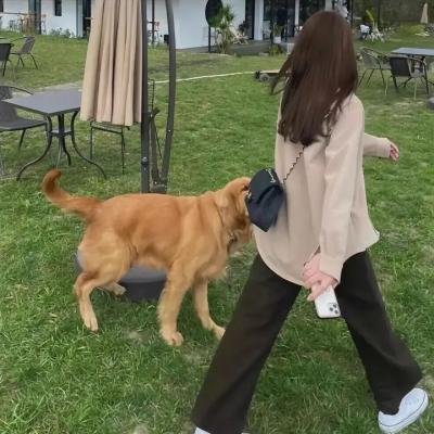 家事法庭